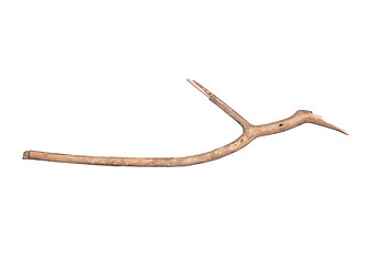 Image showing Dry tree branch on white