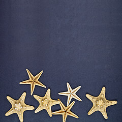 Image showing Top view of six starfish on black background.