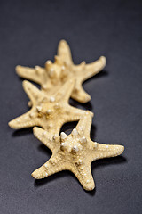 Image showing Three starfish on black background.