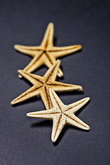 Image showing Three starfish on black background.