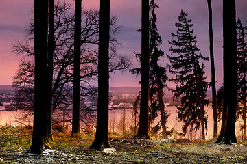 Image showing Sunset in a forest in Bavaria