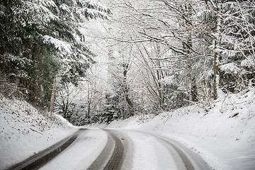 Image showing Road with trees and snow