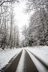 Image showing Road with trees and snow