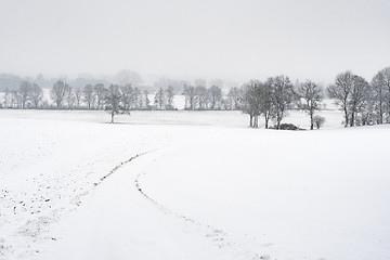 Image showing Path with trees and snow