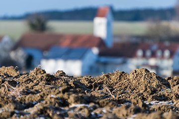 Image showing Closeup of a field with village in background