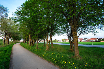 Image showing image of a bikeway and walkway with trees and grean meadow