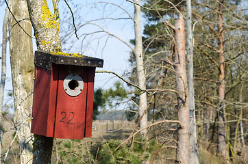 Image showing Red bird house in a tree