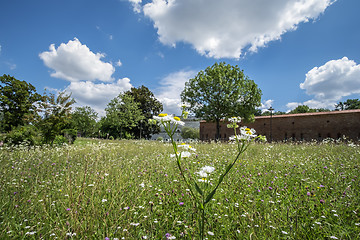 Image showing View towards Klenze Park in Ingolstadt