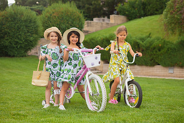 Image showing Beautiful little girls riding a bicycle through the park. Nature, lifestyle