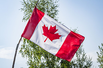 Image showing Canadian flag on a wooden stick with trees