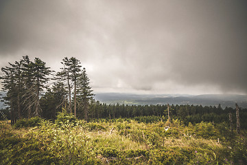 Image showing Wilderness landscape in cloudy weather overcast