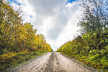 Image showing Dirt road in the fall with tree in autumn colors