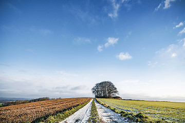 Image showing Snow on a countryside road with colorful fields