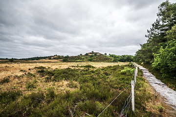 Image showing Dry plains in cloudy weather with sheeps