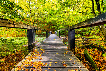Image showing Long wooden bridge in a forest with green trees