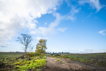 Image showing Countryside road in the fall with trees in autumn colors