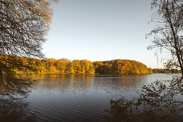 Image showing Lake in the fall surrounded by trees