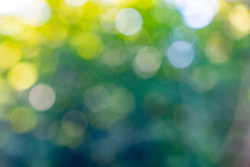 Image showing Bokeh background. Blurred yellow green abstract layout with white bokeh circles