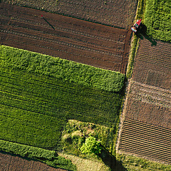 Image showing Aerial view from the drone, a bird\'s eye view of agricultural fields with a road through and a tractor on it in the spring evening at sunset