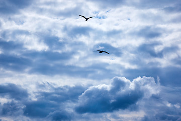 Image showing clouds in the blue sky