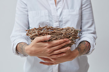 Image showing The woman is holding a nest of branches