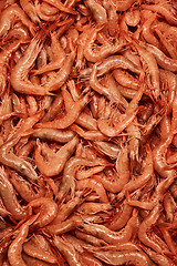 Image showing fresh raw shrimp