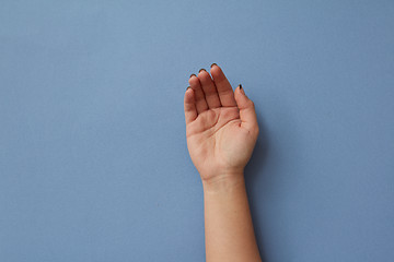 Image showing Female hand isolated on blue background