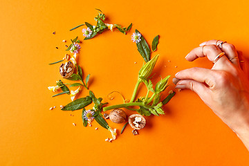 Image showing beautiful frame of flowers and leaves