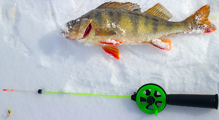 Image showing Winter ice fishing