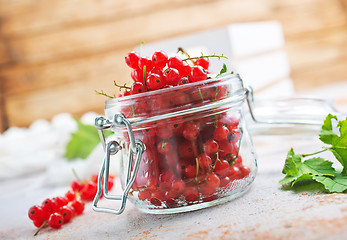 Image showing red currant