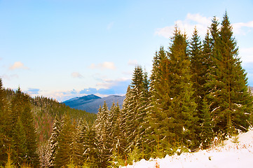 Image showing Winter landscape. Carpatians mountains