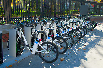 Image showing Row of bikes for rent