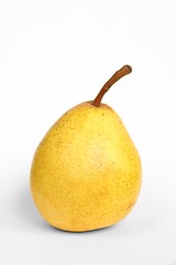 Image showing Pear