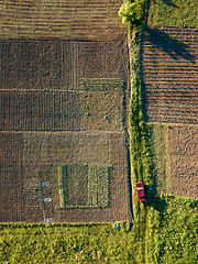 Image showing Auto rides on the road between fields for sowing