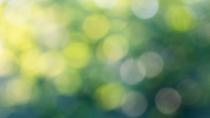 Image showing Blurred green foliage with sunlight. Natural background with yel