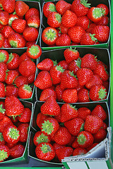 Image showing Strawberries in Trays