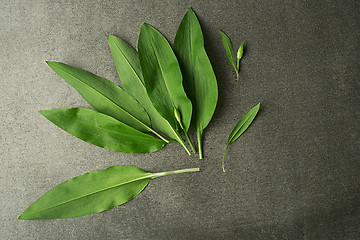 Image showing Wild garlic