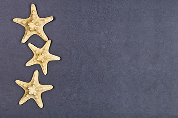 Image showing Top view of three starfish on black background.