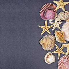 Image showing Top view of shells and starfish group on black background.