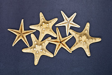 Image showing Top view of six starfish.