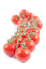 Image showing Fresh organic wet cherry tomatoes bunch.