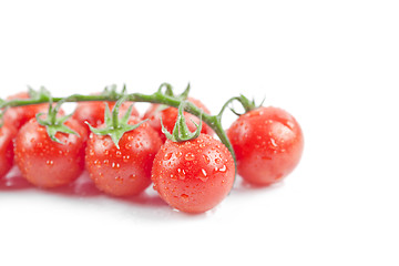 Image showing Fresh organic wet cherry tomatoes bunch.