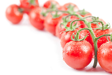 Image showing Fresh organic wet cherry tomatoes bunch closeup isolated on whit