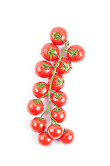 Image showing Fresh organic wet cherry tomatoes bunch isolated on white.