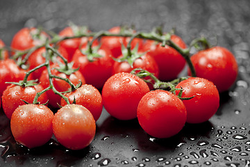 Image showing Fresh wet organic cherry tomatoes bunch closeup on black.