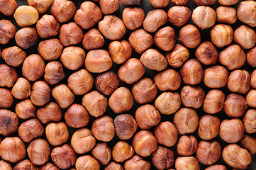 Image showing Peeled hazelnuts background