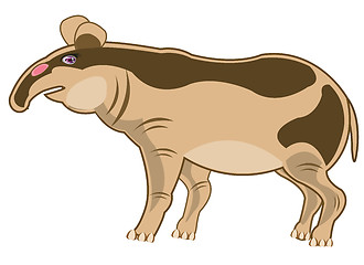 Image showing Animal tapir on white background is insulated
