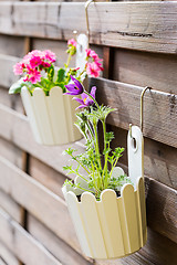 Image showing Detail of hanging flower pots on fence