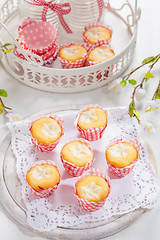 Image showing Small curd cheese muffins or cupcakes