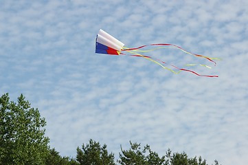 Image showing Kite